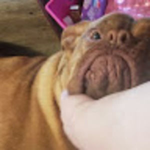 Meet your Posher, Carrie